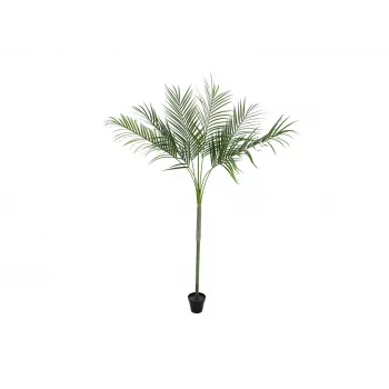 EUROPALMS Areca deluxe tekokasvi, 180 cm 82509443