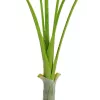 EUROPALMS Areca deluxe tekokasvi, 180 cm 82509443