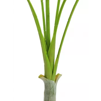 EUROPALMS Areca deluxe tekokasvi, 180 cm 82509443