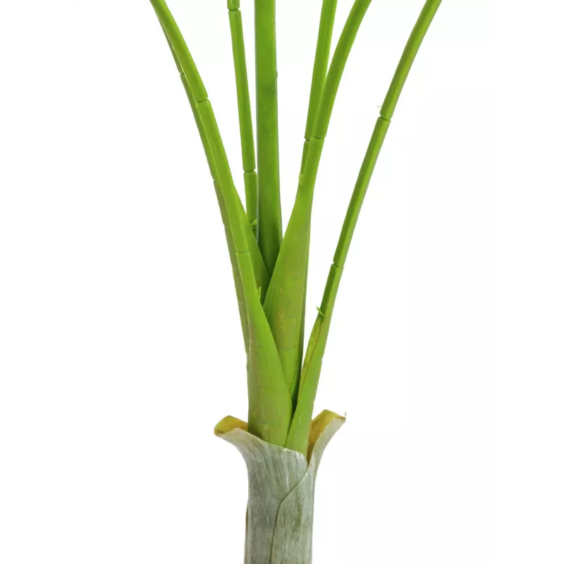 EUROPALMS Areca deluxe tekokasvi, 180 cm 82509443