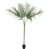 EUROPALMS Areca deluxe tekokasvi, 180 cm 82509443