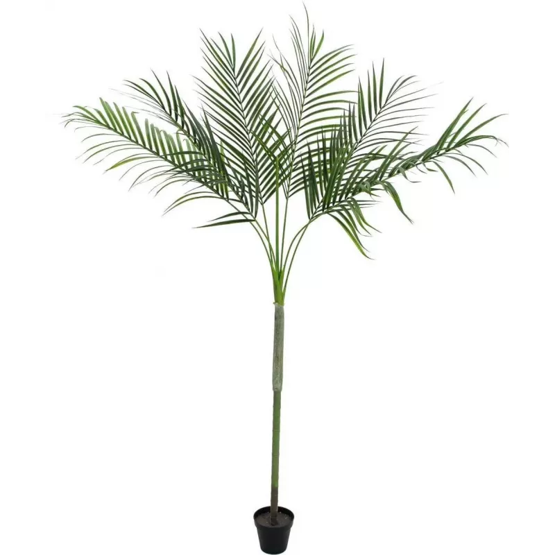 EUROPALMS Areca deluxe tekokasvi, 180 cm 82509443