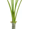 EUROPALMS Areca deluxe tekokasvi, 180 cm 82509443