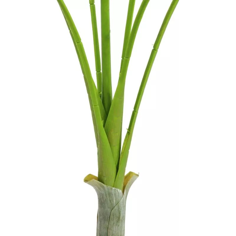 EUROPALMS Areca deluxe tekokasvi, 180 cm 82509443