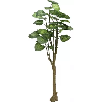 EUROPALMS Pothos-puu tekokasvi 175 cm 82600163