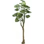 EUROPALMS Pothos-puu tekokasvi 175 cm 82600163