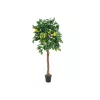 EUROPALMS tekositruunapuu, 180 cm 82507816