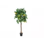 EUROPALMS tekositruunapuu, 180 cm 82507816