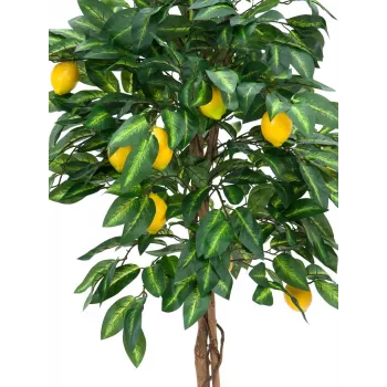 EUROPALMS tekositruunapuu, 180 cm 82507816