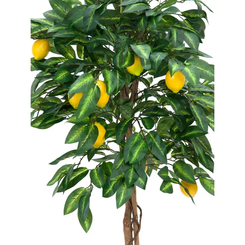 EUROPALMS tekositruunapuu, 180 cm 82507816