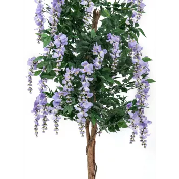 EUROPALMS tekokultasadepuu (Laburnum), violetti, 150 cm 82507135