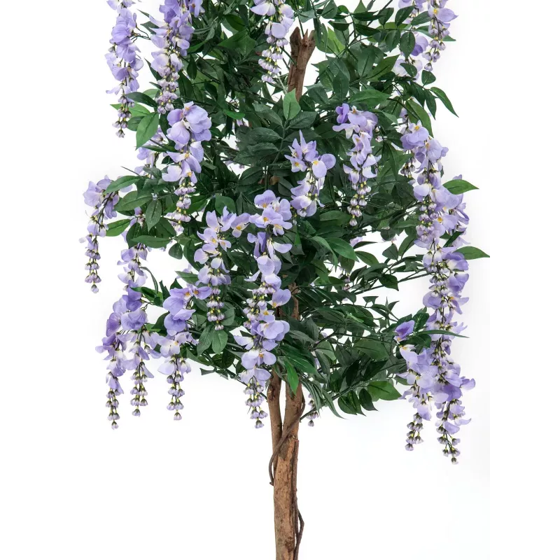 EUROPALMS tekokultasadepuu (Laburnum), violetti, 150 cm 82507135