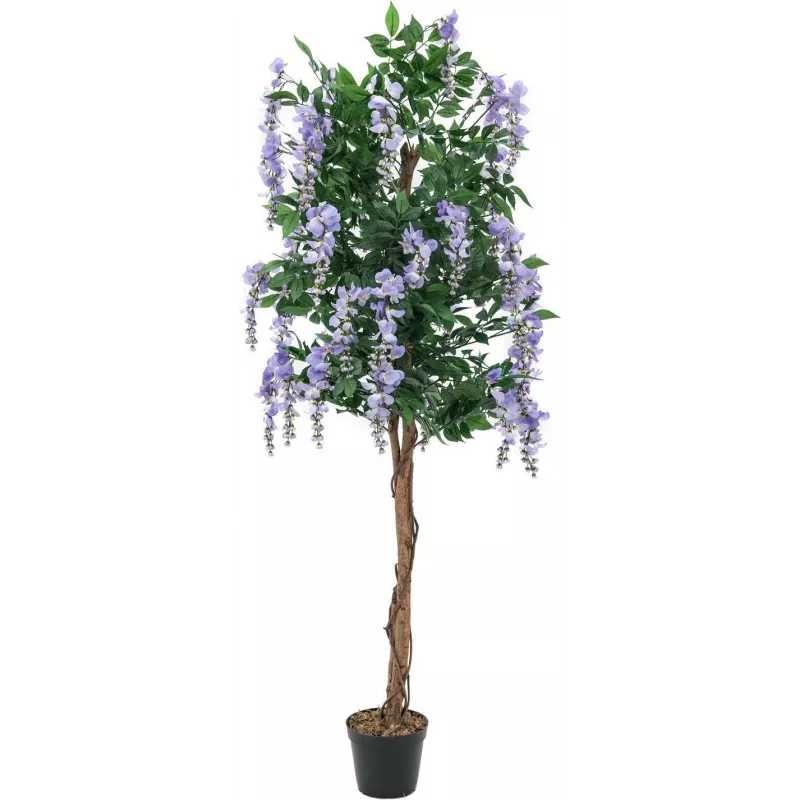 EUROPALMS tekokultasadepuu (Laburnum), violetti, 150 cm 82507135