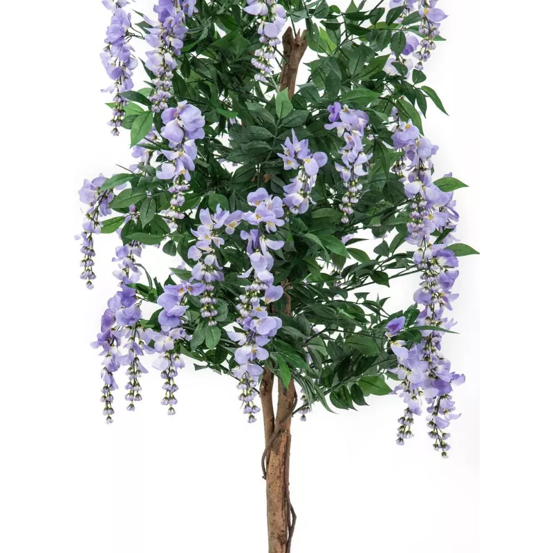 EUROPALMS tekokultasadepuu (Laburnum), violetti, 150 cm 82507135