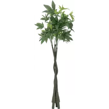 EUROPALMS tekopachira rahapuu, 160 cm 82600165