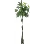 EUROPALMS tekopachira rahapuu, 160 cm 82600165