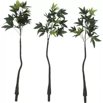 EUROPALMS tekopachira rahapuu, 160 cm 82600165