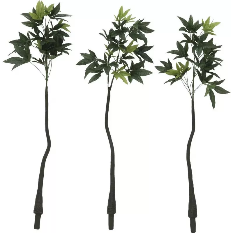EUROPALMS tekopachira rahapuu, 160 cm 82600165