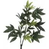 EUROPALMS tekopachira rahapuu, 160 cm 82600165