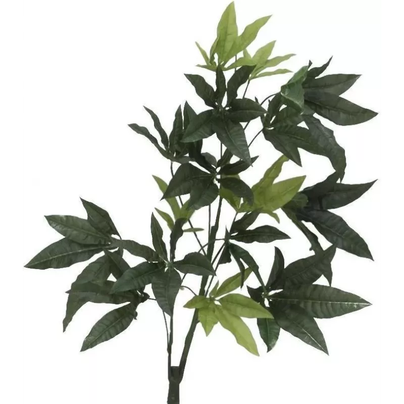 EUROPALMS tekopachira rahapuu, 160 cm 82600165