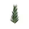 EUROPALMS tekokookospalmun lehdykkä, 150 cm 82509845