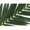 EUROPALMS tekokookospalmun lehdykkä, 150 cm 82509845