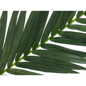 EUROPALMS tekokookospalmun lehdykkä, 150 cm 82509845