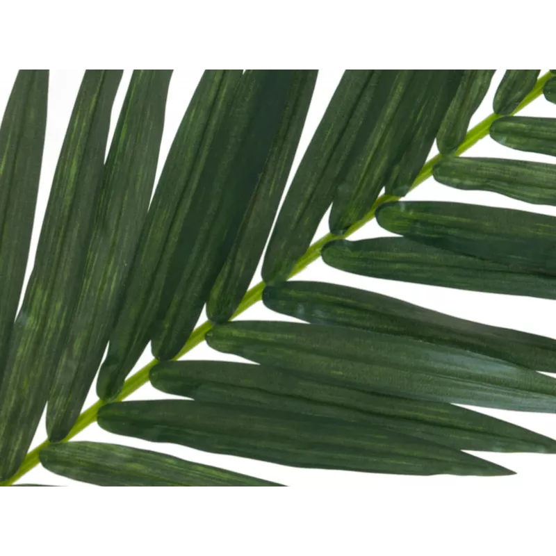EUROPALMS tekokookospalmun lehdykkä, 150 cm 82509845