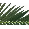 EUROPALMS tekokookospalmun lehdykkä, 150 cm 82509845