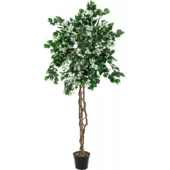 EUROPALMS bougainvillea tekokasvi, valkoinen, 150 cm 82507085
