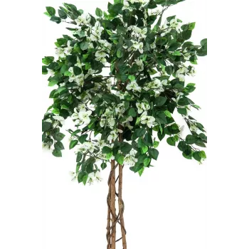 EUROPALMS bougainvillea tekokasvi, valkoinen, 150 cm 82507085