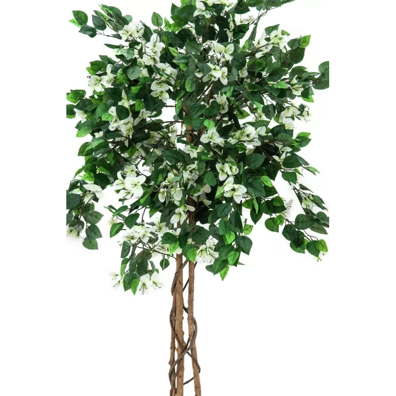 EUROPALMS bougainvillea tekokasvi, valkoinen, 150 cm 82507085