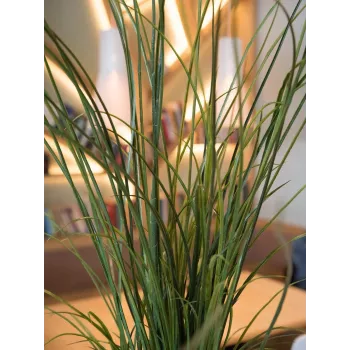 EUROPALMS tekoruokoruoho, 145 cm, vihreä/ruskea, esiruukutettu 82600229