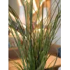 EUROPALMS tekoruokoruoho, 145 cm, vihreä/ruskea, esiruukutettu 82600229
