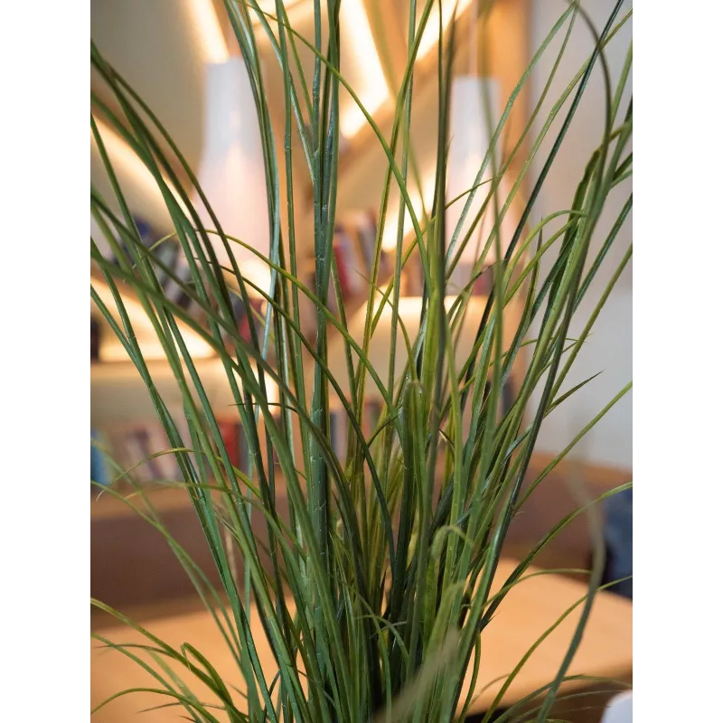 EUROPALMS tekoruokoruoho, 145 cm, vihreä/ruskea, esiruukutettu 82600229