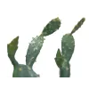 EUROPALMS lehtikaktus tekokasvi, 76 cm, ruukussa, vihreä 82600064