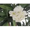 EUROPALMS oleanteripuu, tekokasvi, valkoinen, 120 cm (82507246)