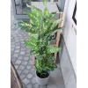 EUROPALMS Dieffenbachia tekokasvi 120 cm 82508306