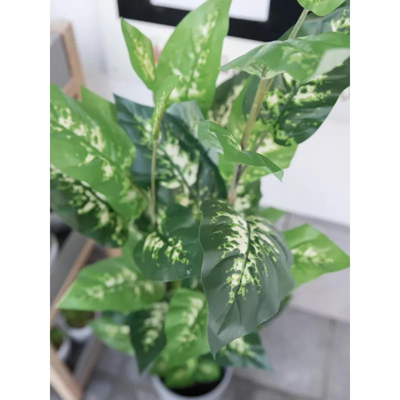 EUROPALMS Dieffenbachia tekokasvi 120 cm 82508306