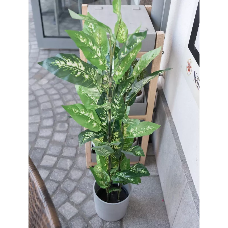 EUROPALMS Dieffenbachia tekokasvi 120 cm 82508306