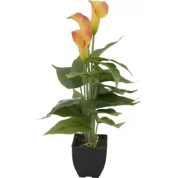 EUROPALMS Calla mini tekokasvi, keltainen-oranssi, 43 cm 82540346