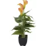 EUROPALMS Calla mini tekokasvi, keltainen-oranssi, 43 cm 82540346