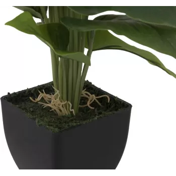 EUROPALMS Calla mini tekokasvi, keltainen-oranssi, 43 cm 82540346