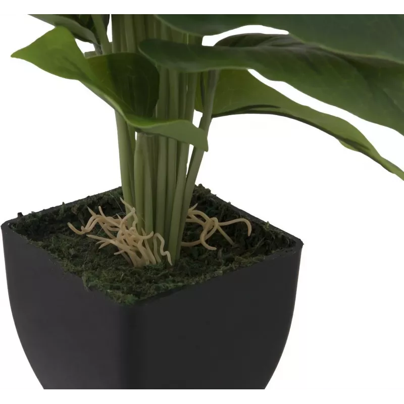 EUROPALMS Calla mini tekokasvi, keltainen-oranssi, 43 cm 82540346