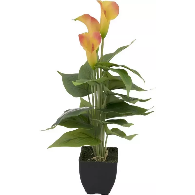 EUROPALMS Calla mini tekokasvi, keltainen-oranssi, 43 cm 82540346