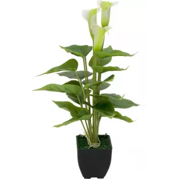EUROPALMS Calla mini tekokalla-lilja kasvi, valkoinen, 43 cm 82540347