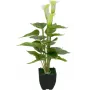 EUROPALMS Calla mini tekokalla-lilja kasvi, valkoinen, 43 cm 82540347