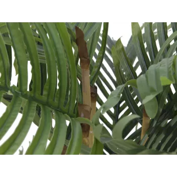 EUROPALMS Kentia-tekopalmu 140 cm 82511361