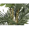 EUROPALMS Kentia-tekopalmu 140 cm 82511361