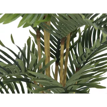 EUROPALMS Kentia-tekopalmu 140 cm 82511361